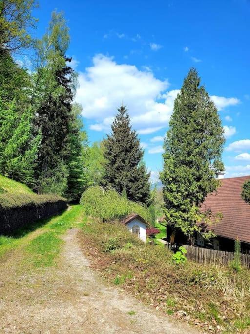 Willa Roubenka U Kaplicky Liberec Zewnętrze zdjęcie